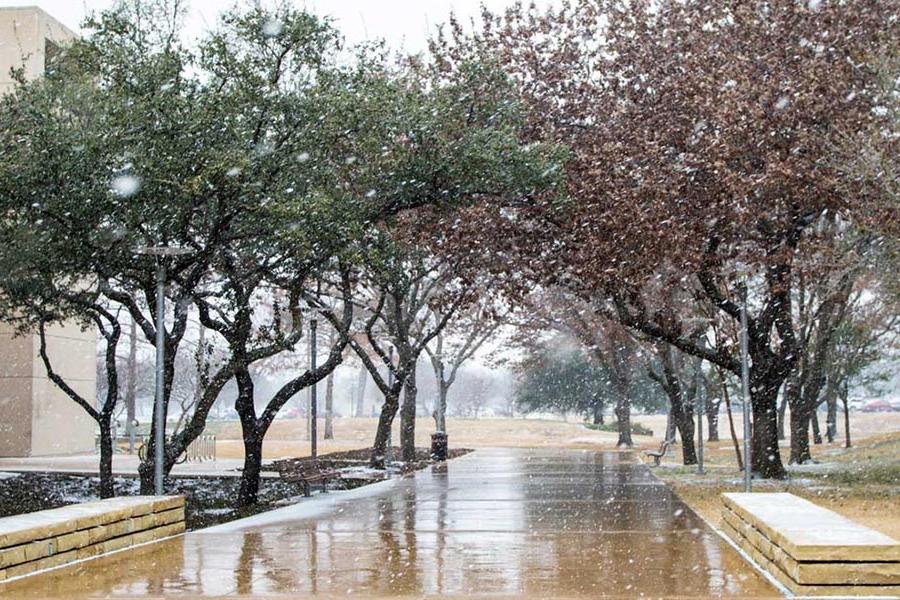 Snow falling on campus.