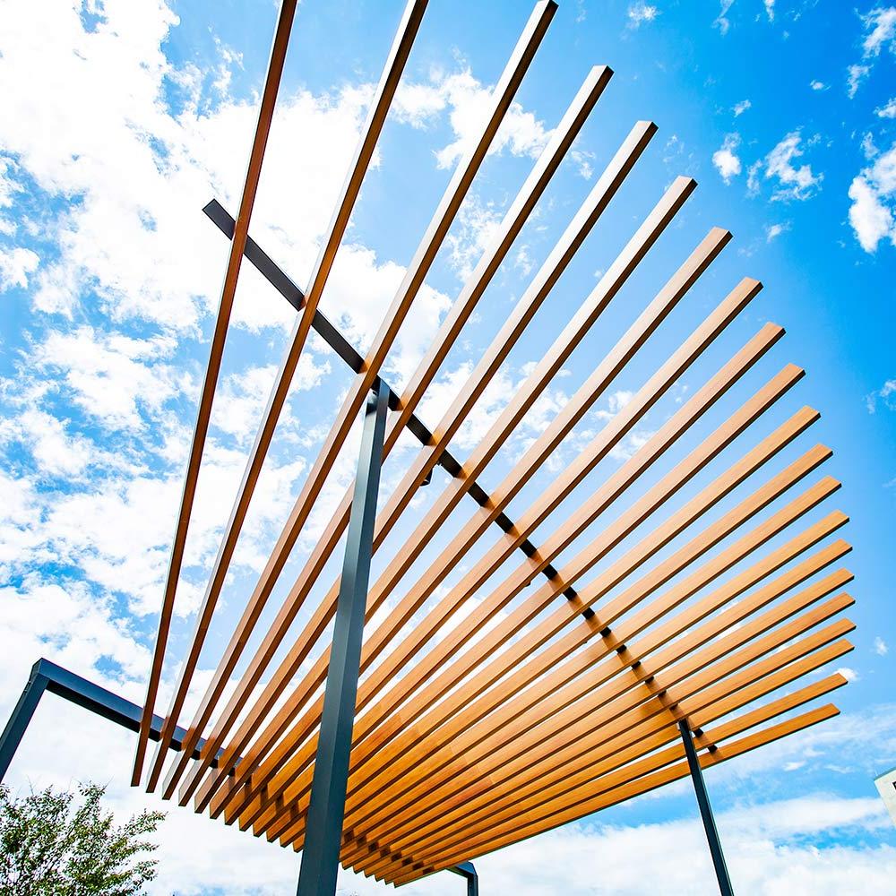 Trellis near the Sciences Building
