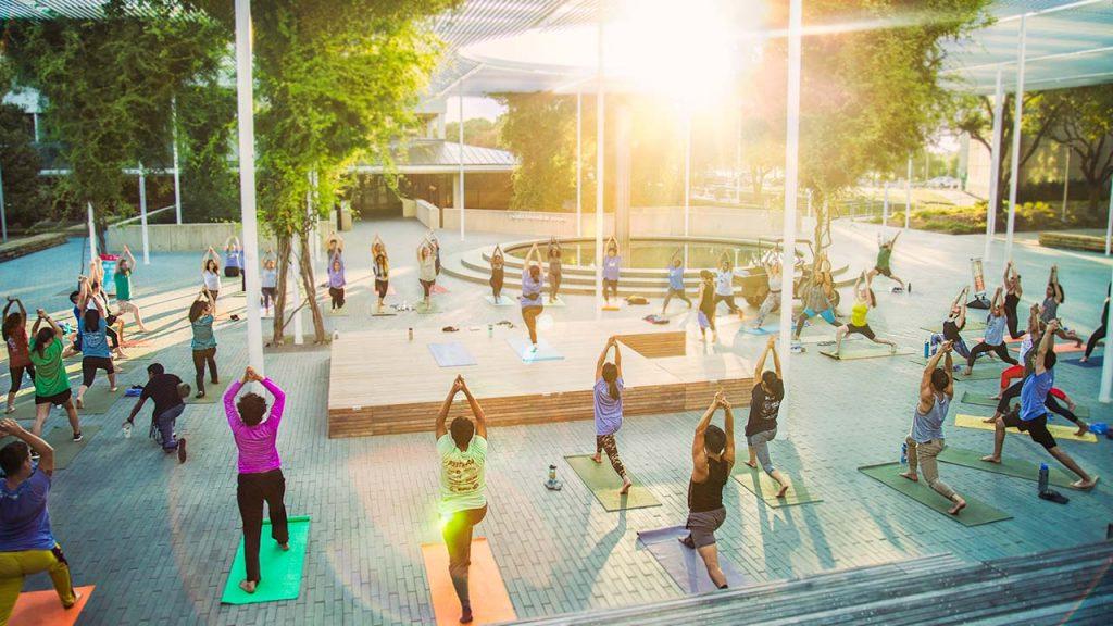 Sunrise yoga at the plinth - dozens of people on their mats under the Margaret McDermott Trellis as the sun rises. 