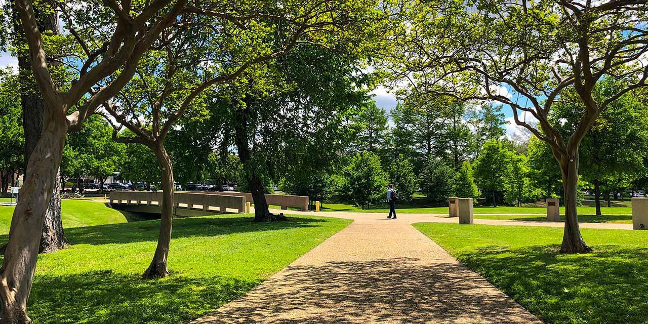 A person walking on the east side of campus near the creek.