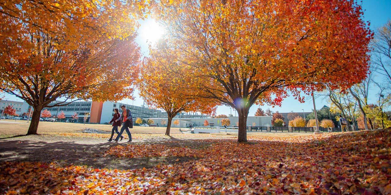 Students walk past fall leaves and trees 