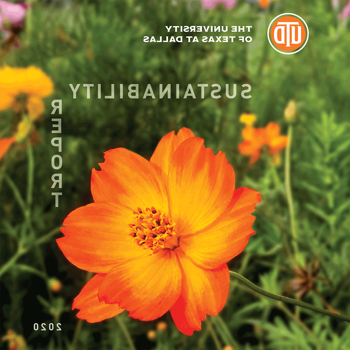Download the 2020 Sustainability Report